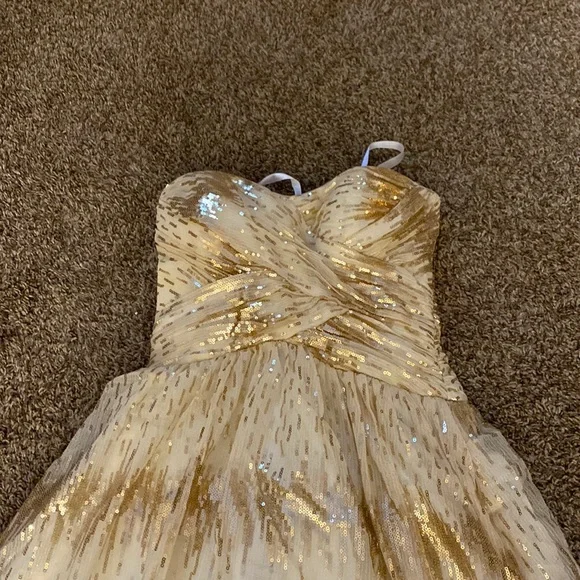 Roberta Bridal Dresses | Gold Prom Dress in Great Condition | Color: Gold/Tan | Size: 3/4 | Pm-02048801's Closet